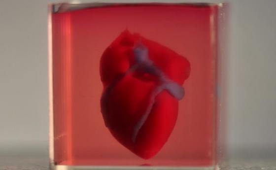 Израелски учени „отпечатаха“ първото 3D сърце!