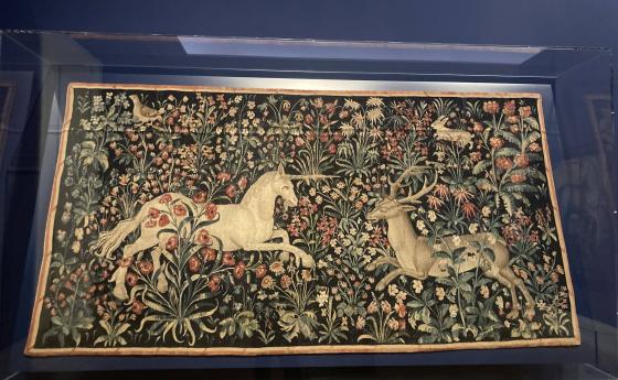 Еднорозите наистина съществуват