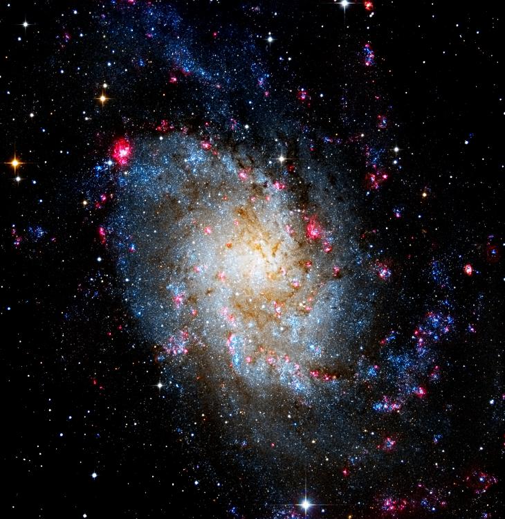 Галактиката Триъгълник от едноименното съзвездие е спирална, нейните ръкави и кафеникавите прахови зони са райони на звездообразуване.