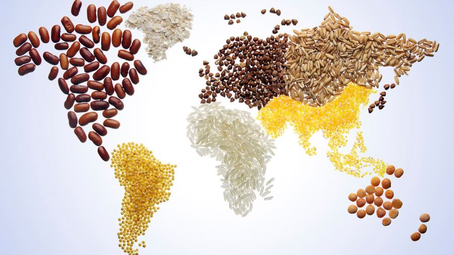 Днес е Световен ден на прехраната