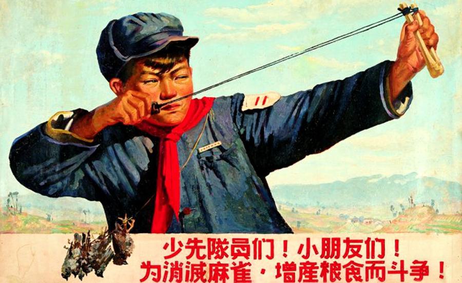 През 1958 г правителството на Китай начело с Мао Цзедун предприема