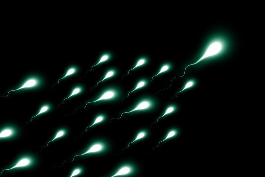 Изследване показва че интергалактическите банки за сперма един ден могат