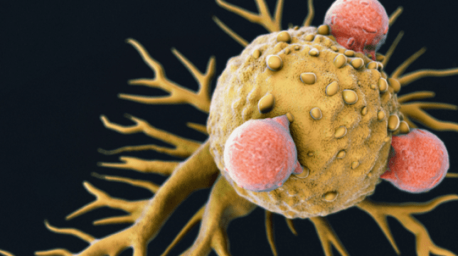 Учени откриха имунна клетка която унищожава повечето видове рак съобщиха