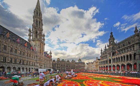 Брюксел пак ще тъче килима от цветя през август