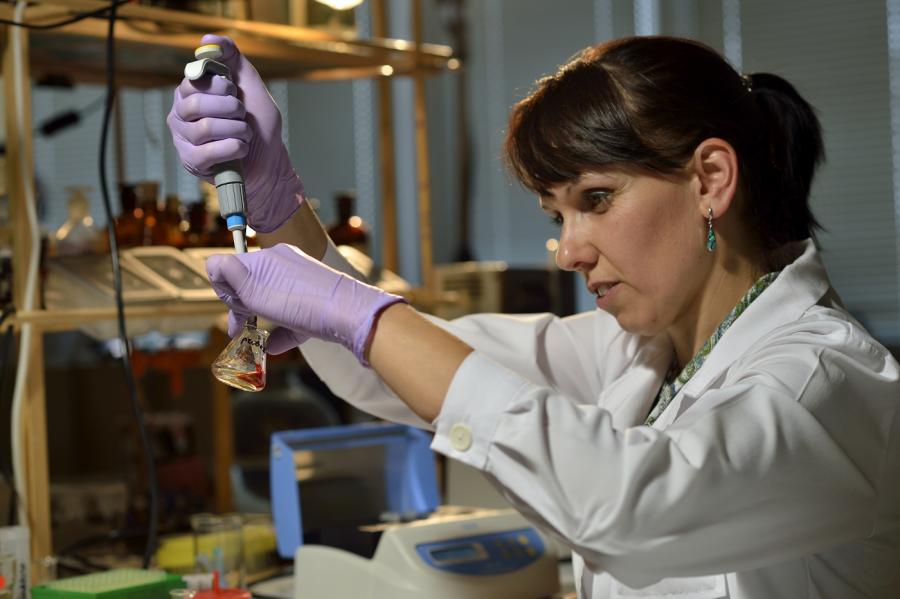 Доц д р Милена Георгиева работи в Лабораторията по молекулярна генетика