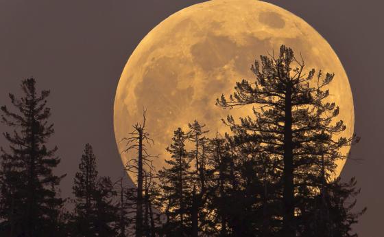 Пълнолуние и частично лунно затъмнение на 5 юли