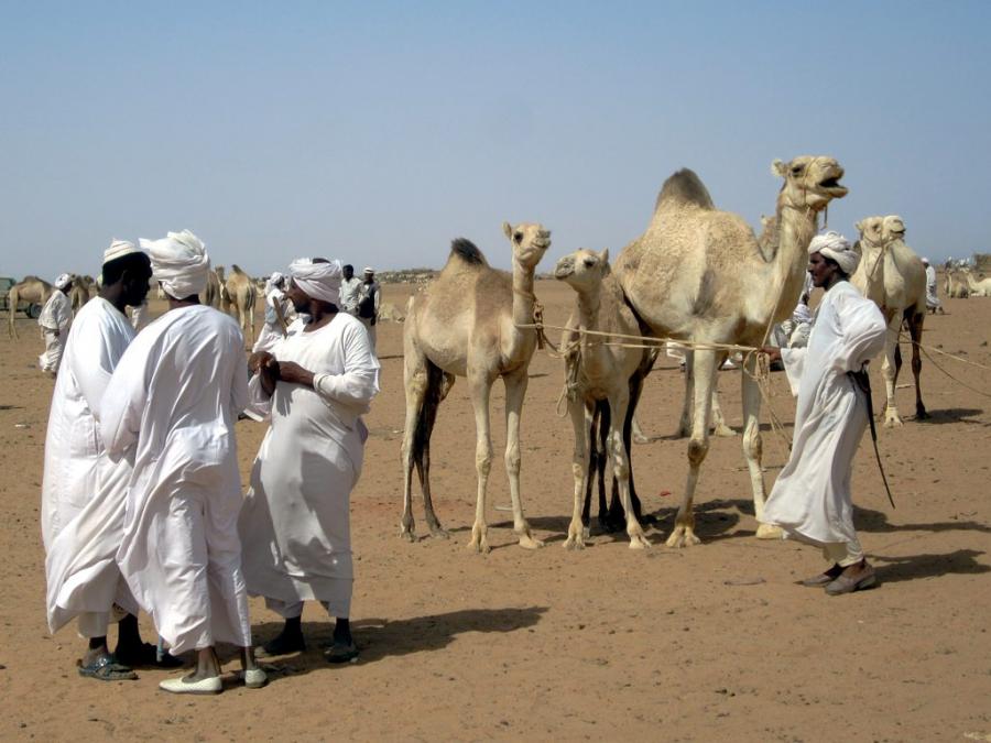 Почти една четвърт от населението на Судан гладува драматично Повишаването