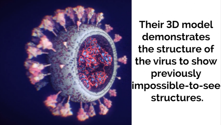Направиха най-точния 3D модел на коронавируса