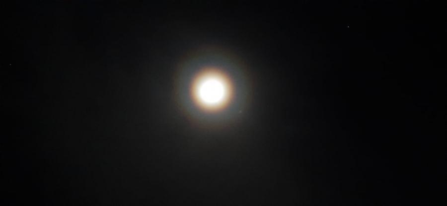 Вижте януарската вълча Луна