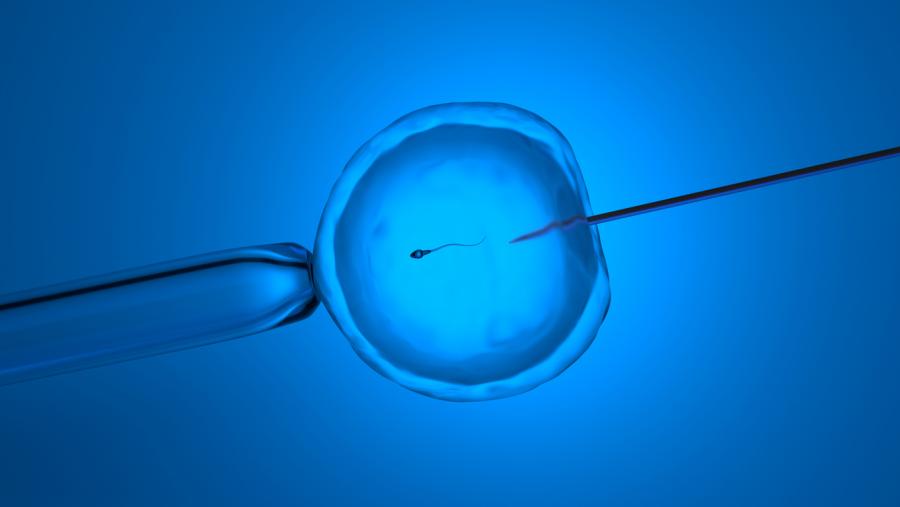Броят на сперматозоидите пада толкова рязко че възпроизводството на човешкия