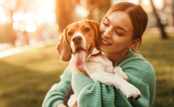 Как да осигурим успешна защита от кърлежи за кучето си?