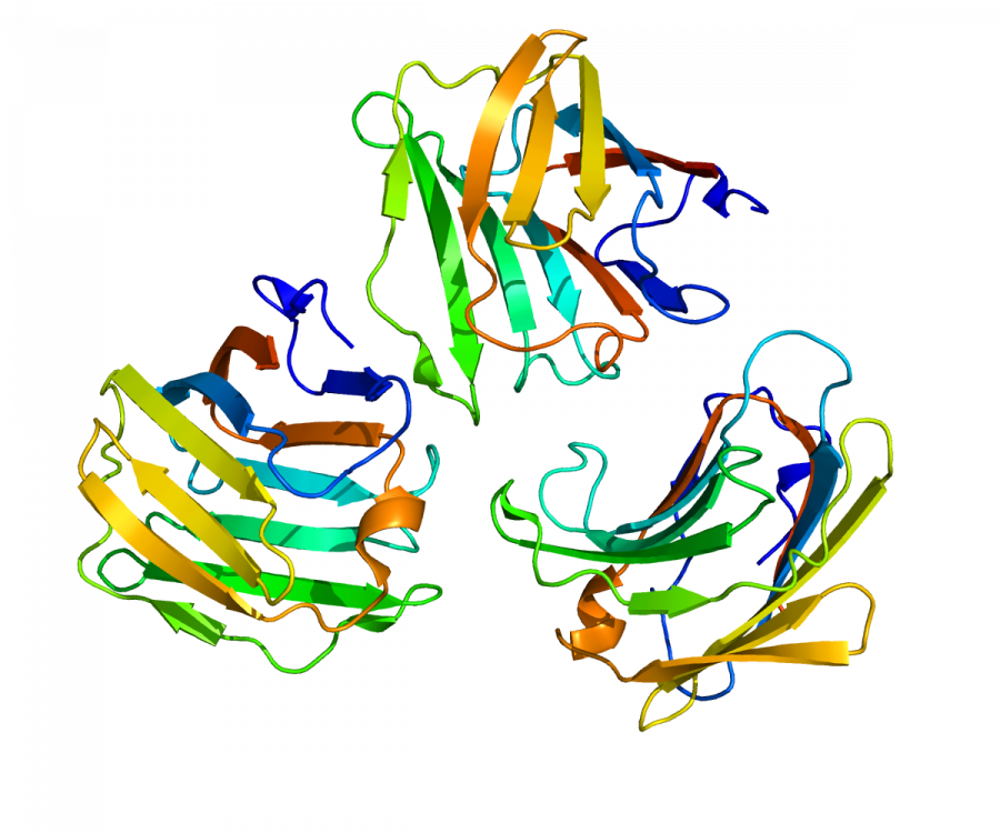 Учени от University of Alberta в Канада са идентифицирали протеин