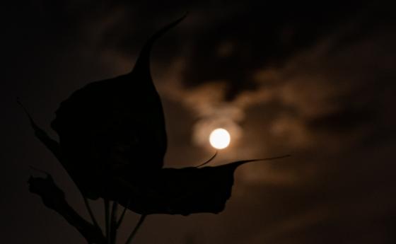 Пълнолуние и лунно затъмнение на 19 ноември