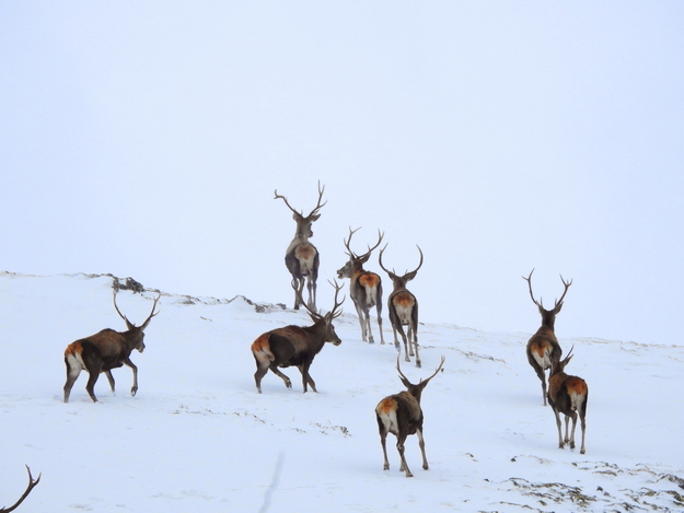  фотография: Градимир Йовчев 