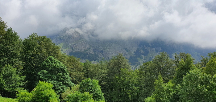 Национален парк Централен Балкан е създаден през 1991 година и
