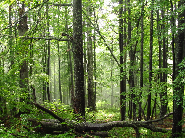  фотография: Сергай Александров 