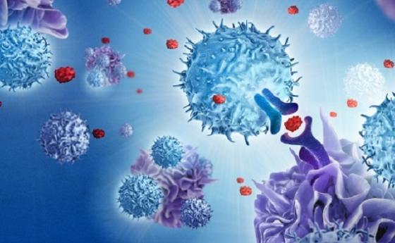 Какво е Т-клетъчен имунитет?