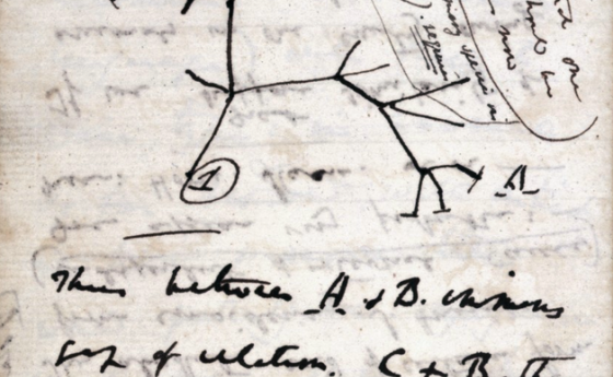 Върнаха след 20 г. изчезналите тетрадки на Дарвин в британска библиотека
