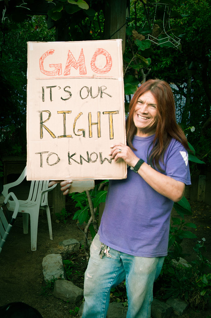 Генетично модифицираните организми ГМО са спорна тема от десетилетия Докато