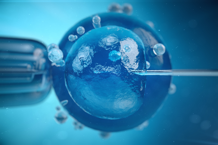 Израелски учени направиха пробив в науката като създадоха ембриоподобни структури