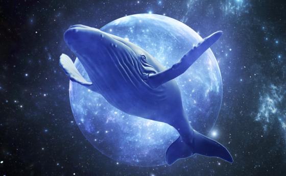 Как сами да разгадаете значенията на сънищата си