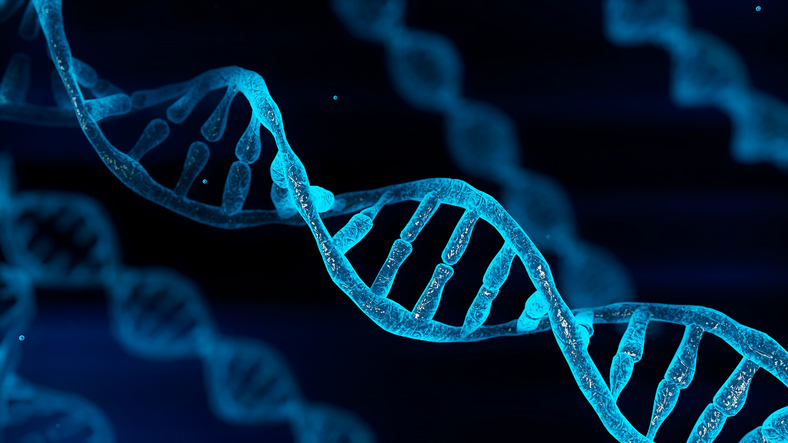 След откриването на ДНК молекулата кодът на нуклеиновата киселина обикновено
