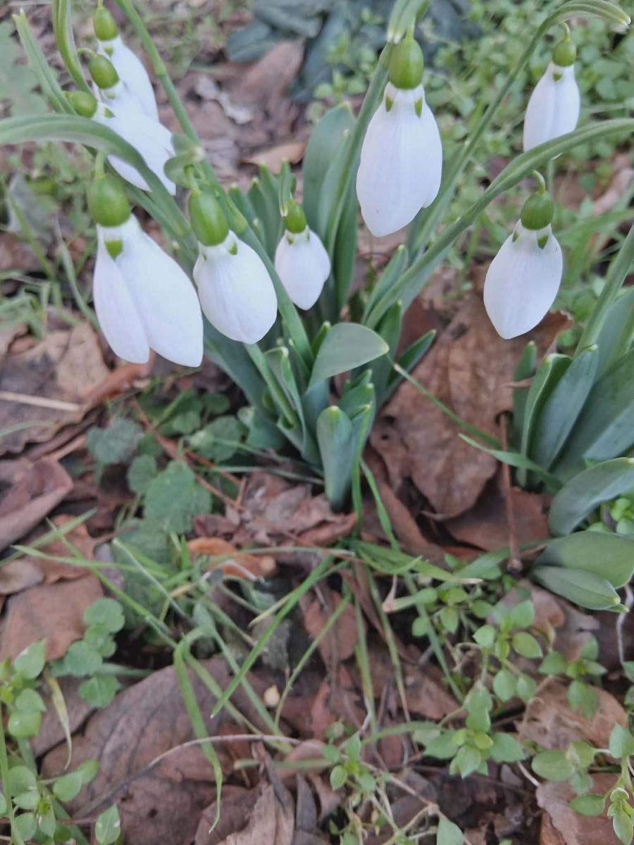 Снимка: Албена Иванова