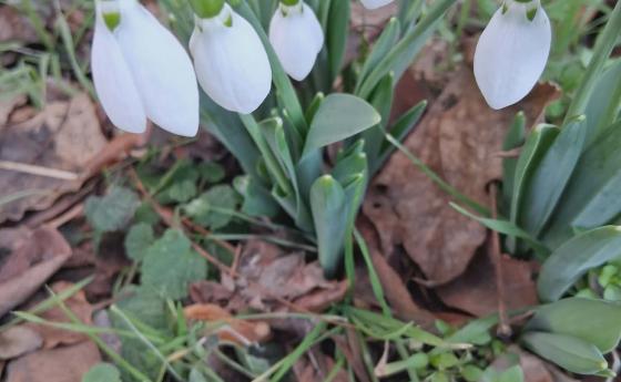 Сега живеем в два свята - труден момент за съсредточоване