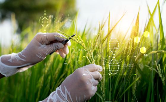 ЕК предлага премахване на регулациите за нови ГМО
