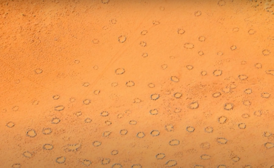 Мистериозни кръгове като тези в Намибийската пустиня има и на други места