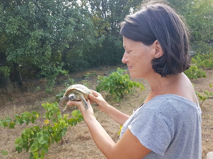 Ива Лаловска: „За да оцелеят, костенурките имат голяма нужда от помощта ни“