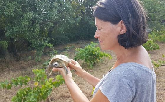 Ива Лаловска: „За да оцелеят, костенурките имат голяма нужда от помощта ни“