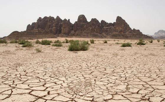 Сухите пустини поглъщат пасищата на Земята, застрашено е изхранването на милиарди хора