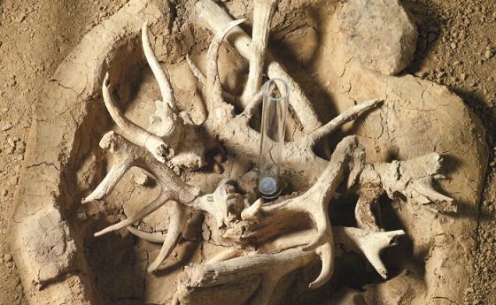 Разкопките на най-старата цивилизация в Европа са спрени