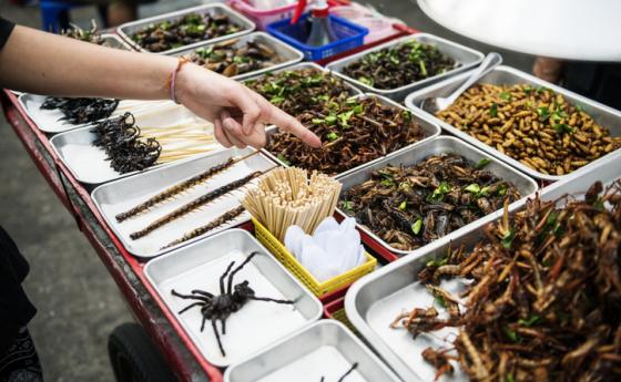 Сингапур одобри 20 вида насекоми за продажба като храна