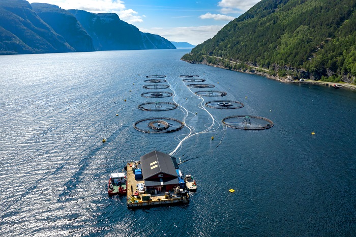  Ферма за сьомга в Норвегия 