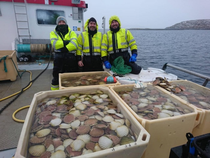  След следващия богат улов на миди Сен Жак 