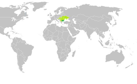 За езика и за оцеляването ни