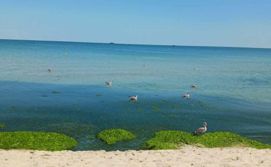 Морската вода край Варна стана ледена за по-малко от 12 часа
