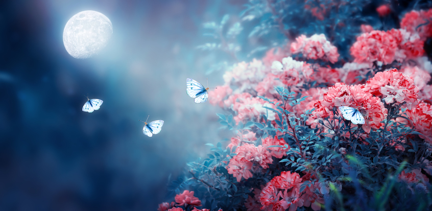 изображение: iStock