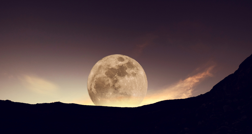 изображение: iStock