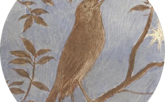 Славеят и розата