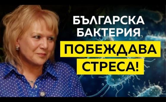 Българска бактерия на Антарктида