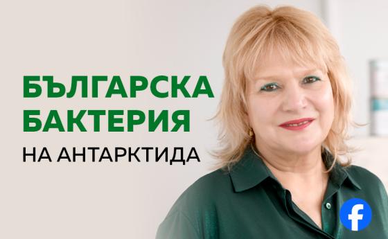 Българска бактерия на Антарктида