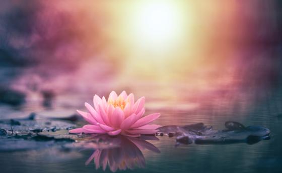 Дневен хороскоп за 27 октомври