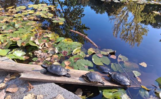 Остани близо до себе си в тези трудни времена