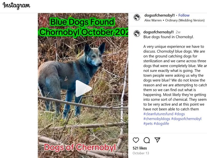 Екранна снимка: Инстаграм