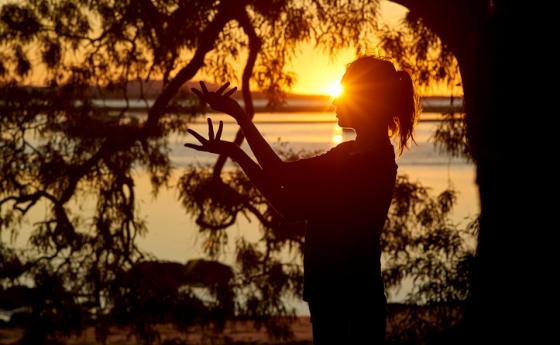Седмична ведическа прогноза