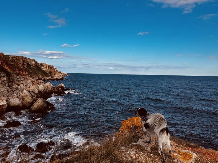 Дали човешките същества са просто „машини за оцеляване за еднократна употреба“?