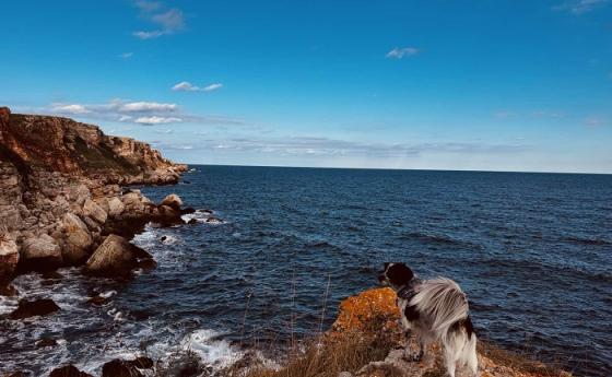 Дали човешките същества са просто „машини за оцеляване за еднократна употреба“?